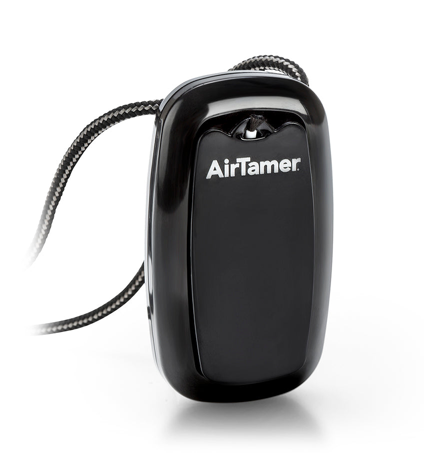 A315 Rechargeable Personal Air Purifier